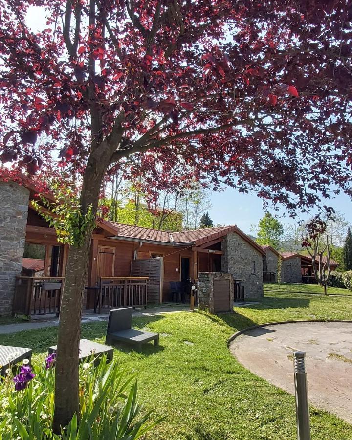 Le Hameau Du Comté De Foix Mercus-Garrabet